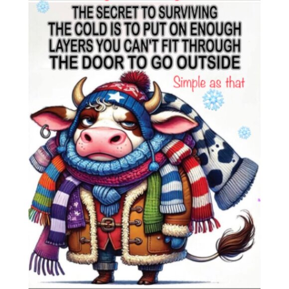 WED. 1/7/26 SHOES (CHOOSE TOP OR RANDOM FILTER ONLY) Share 3 Group - Picture 2 of 5